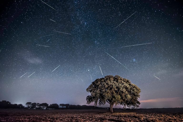 Perseids